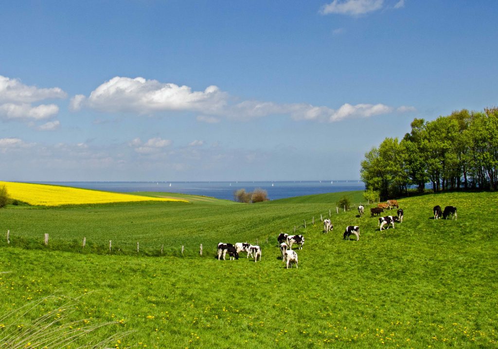 Veranstaltung Unsere Region